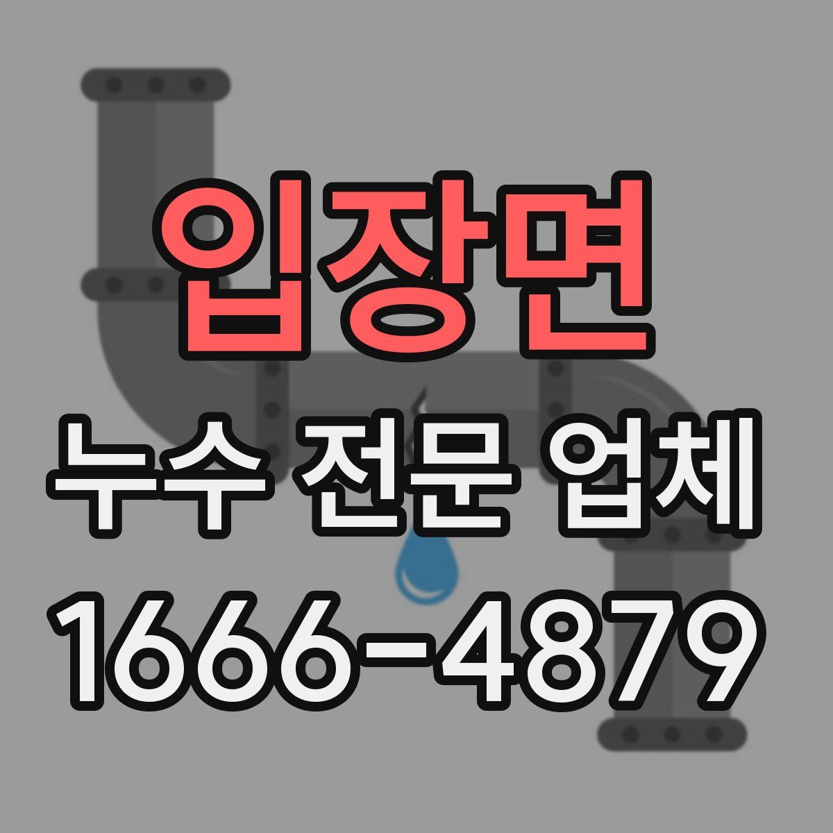 입장면 누수 전문 업체