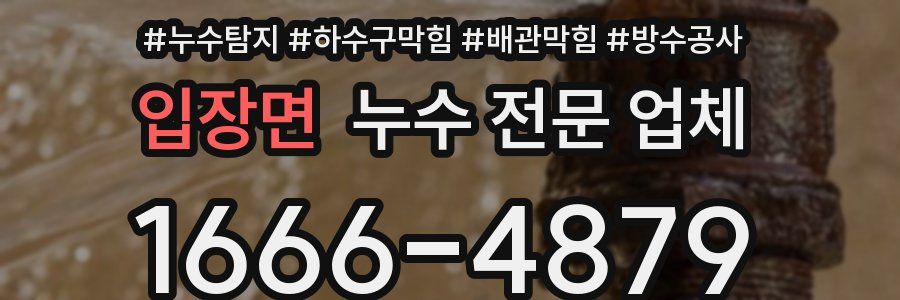 입장면 누수 전문 업체