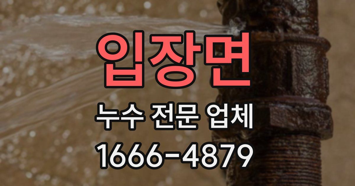 입장면 누수 전문 업체