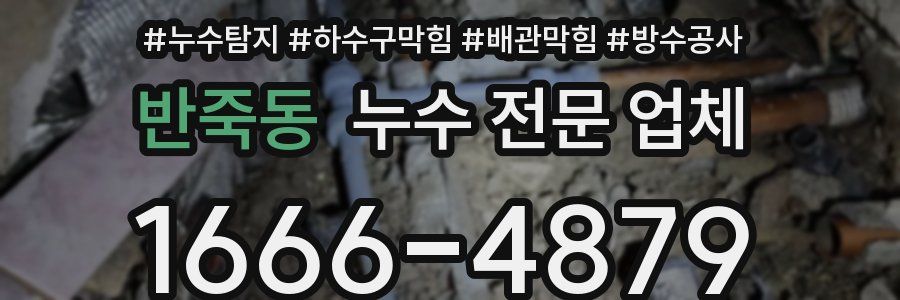 반죽동 누수 전문 업체