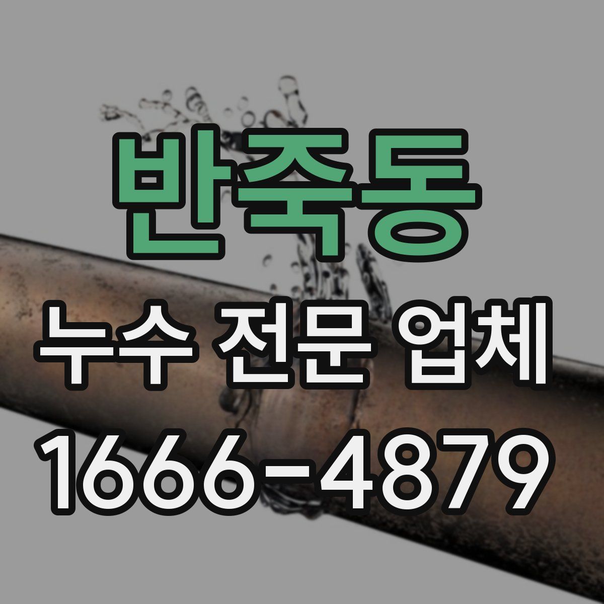 반죽동 누수 전문 업체