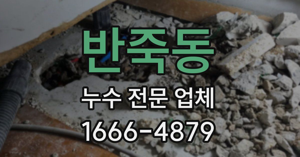 반죽동 누수 전문 업체
