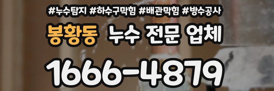 봉황동 누수 전문 업체