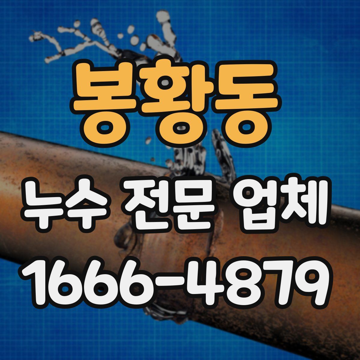 봉황동 누수 전문 업체
