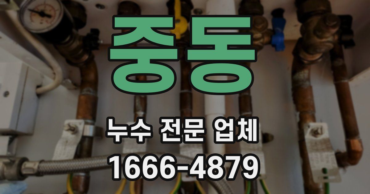 중동 누수 전문 업체