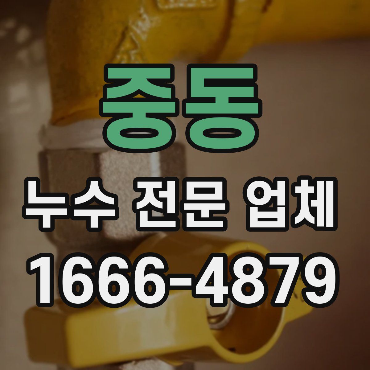 중동 누수 전문 업체
