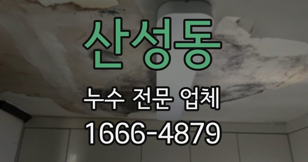 산성동 누수 전문 업체