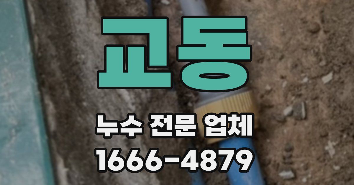 교동 누수 전문 업체