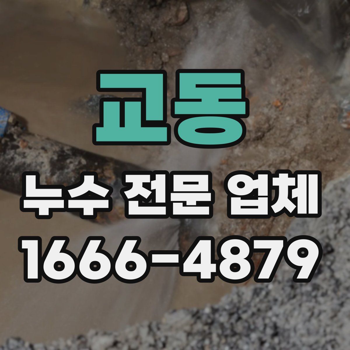 교동 누수 전문 업체