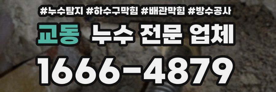교동 누수 전문 업체