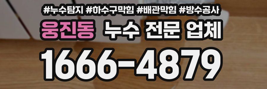 웅진동 누수 전문 업체