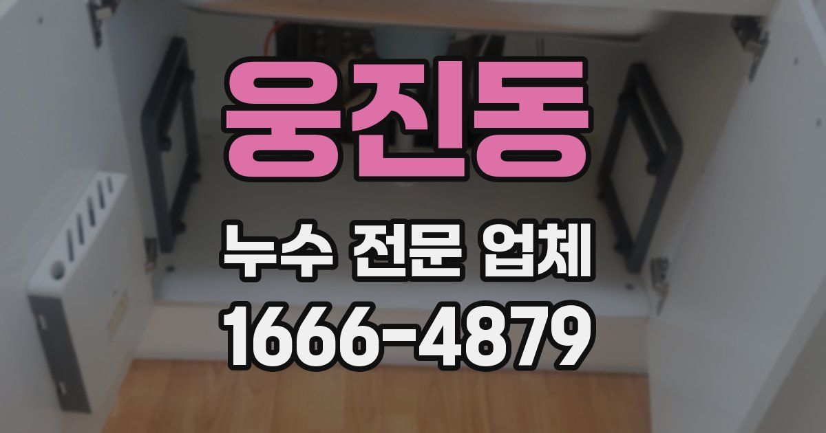 웅진동 누수 전문 업체