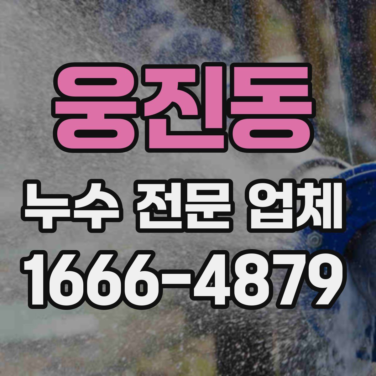 웅진동 누수 전문 업체