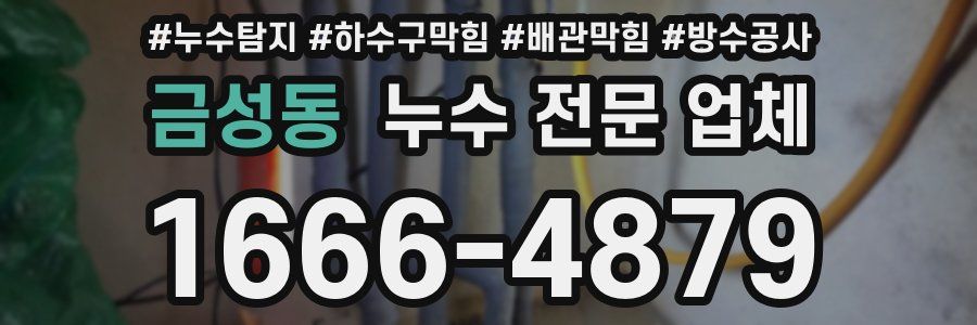 금성동 누수 전문 업체
