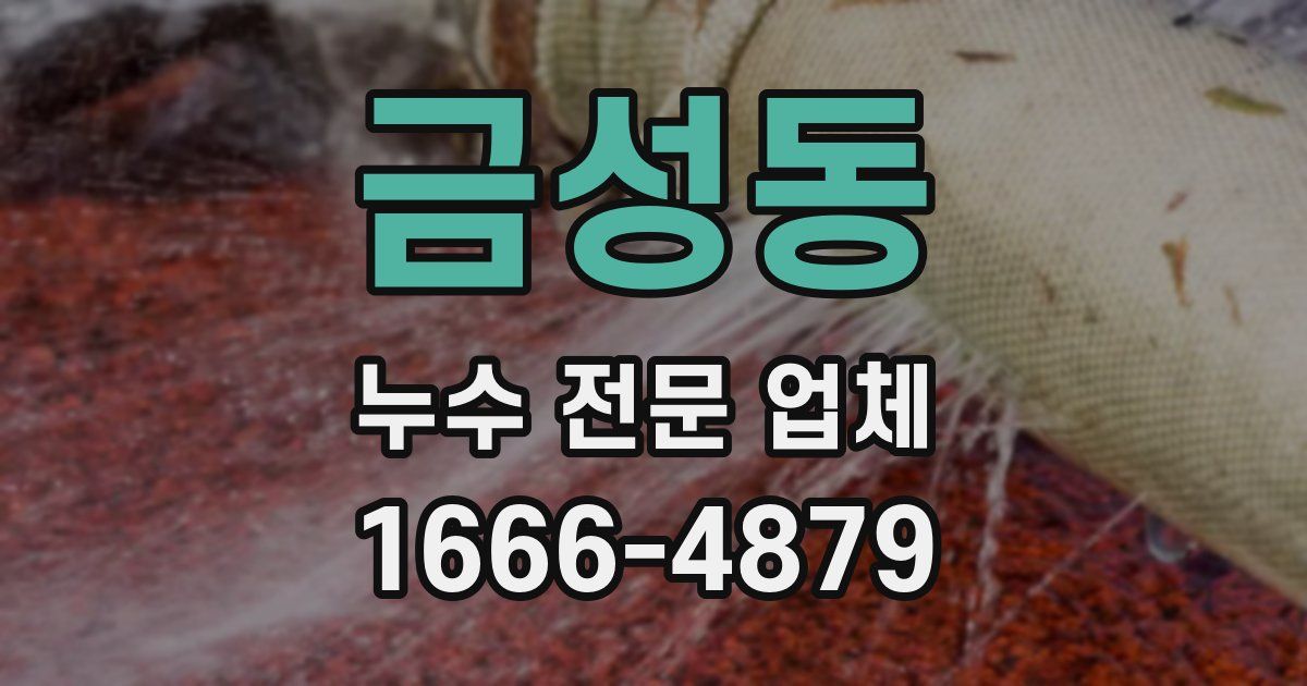 금성동 누수 전문 업체