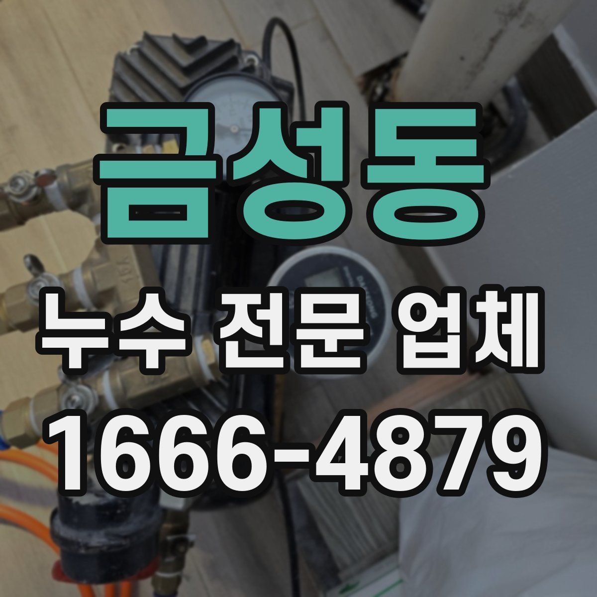 금성동 누수 전문 업체