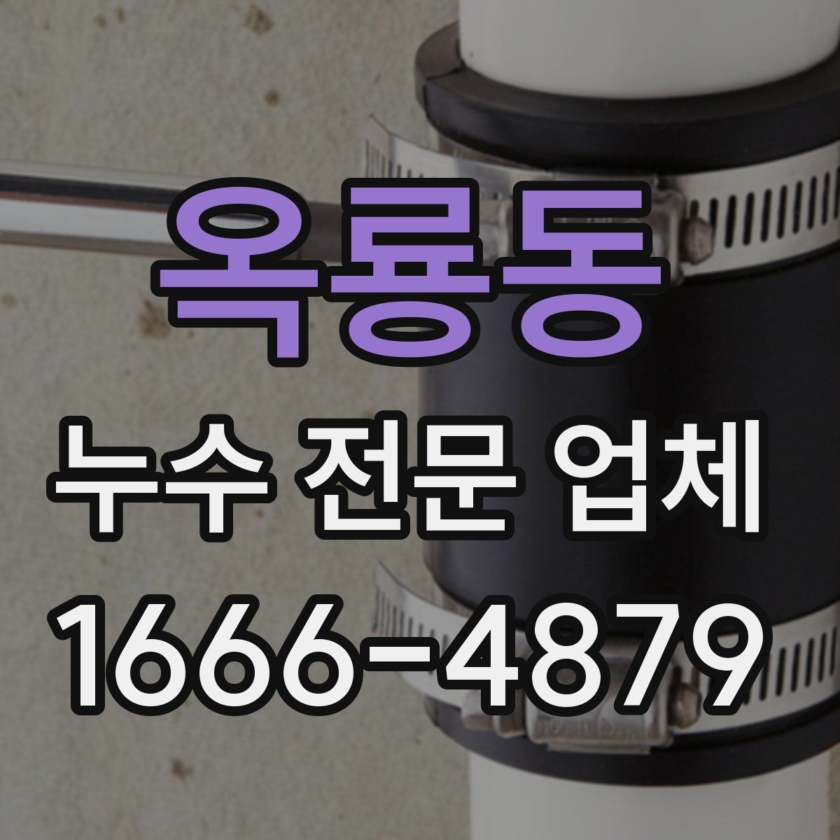 옥룡동 누수 전문 업체