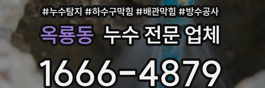 옥룡동 누수 전문 업체