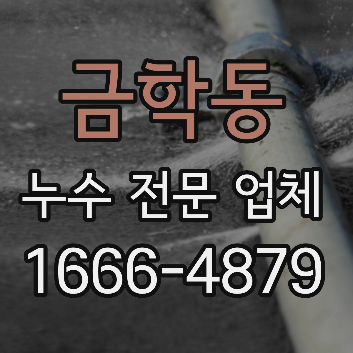 금학동 누수 전문 업체