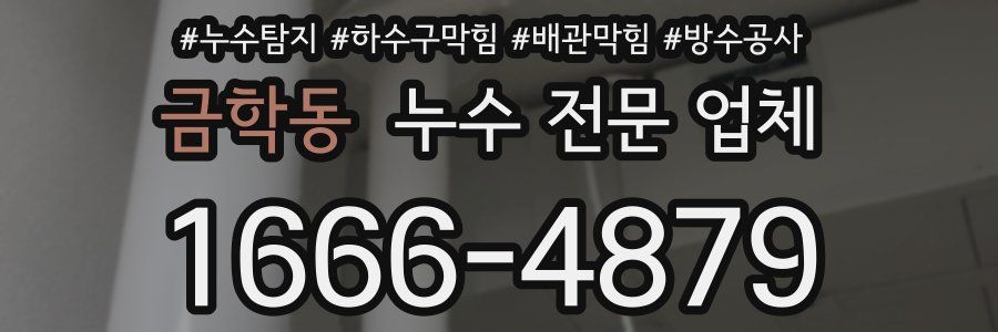 금학동 누수 전문 업체