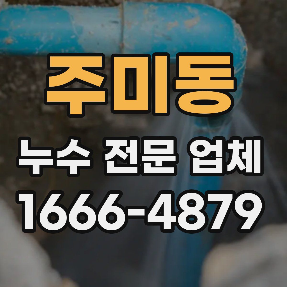 주미동 누수 전문 업체