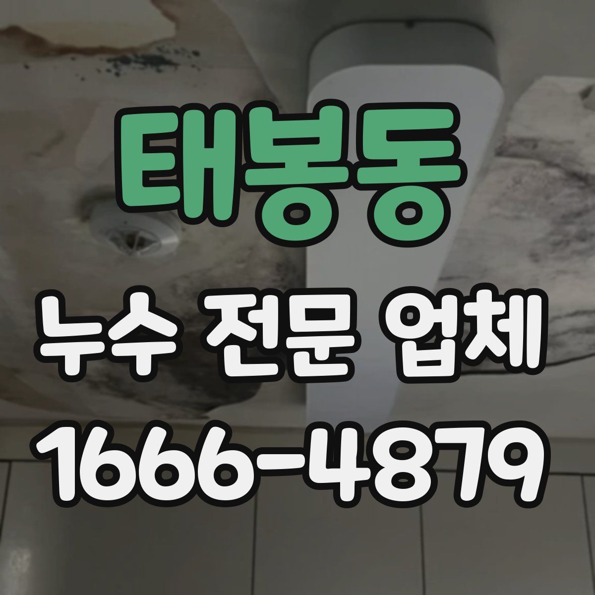 태봉동 누수 전문 업체