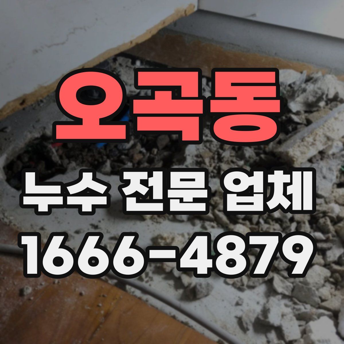 오곡동 누수 전문 업체
