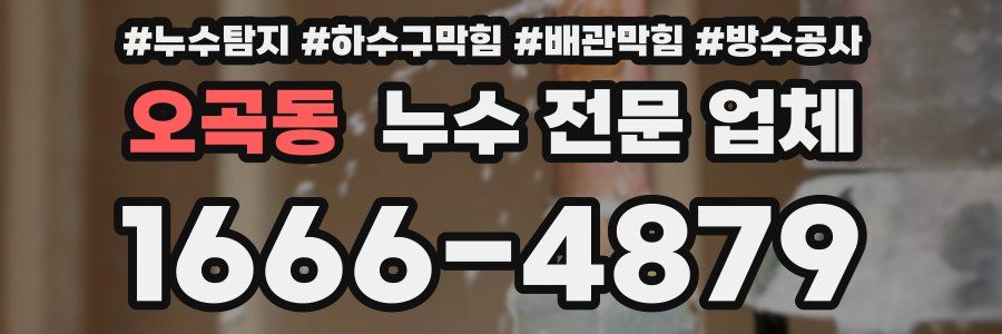 오곡동 누수 전문 업체