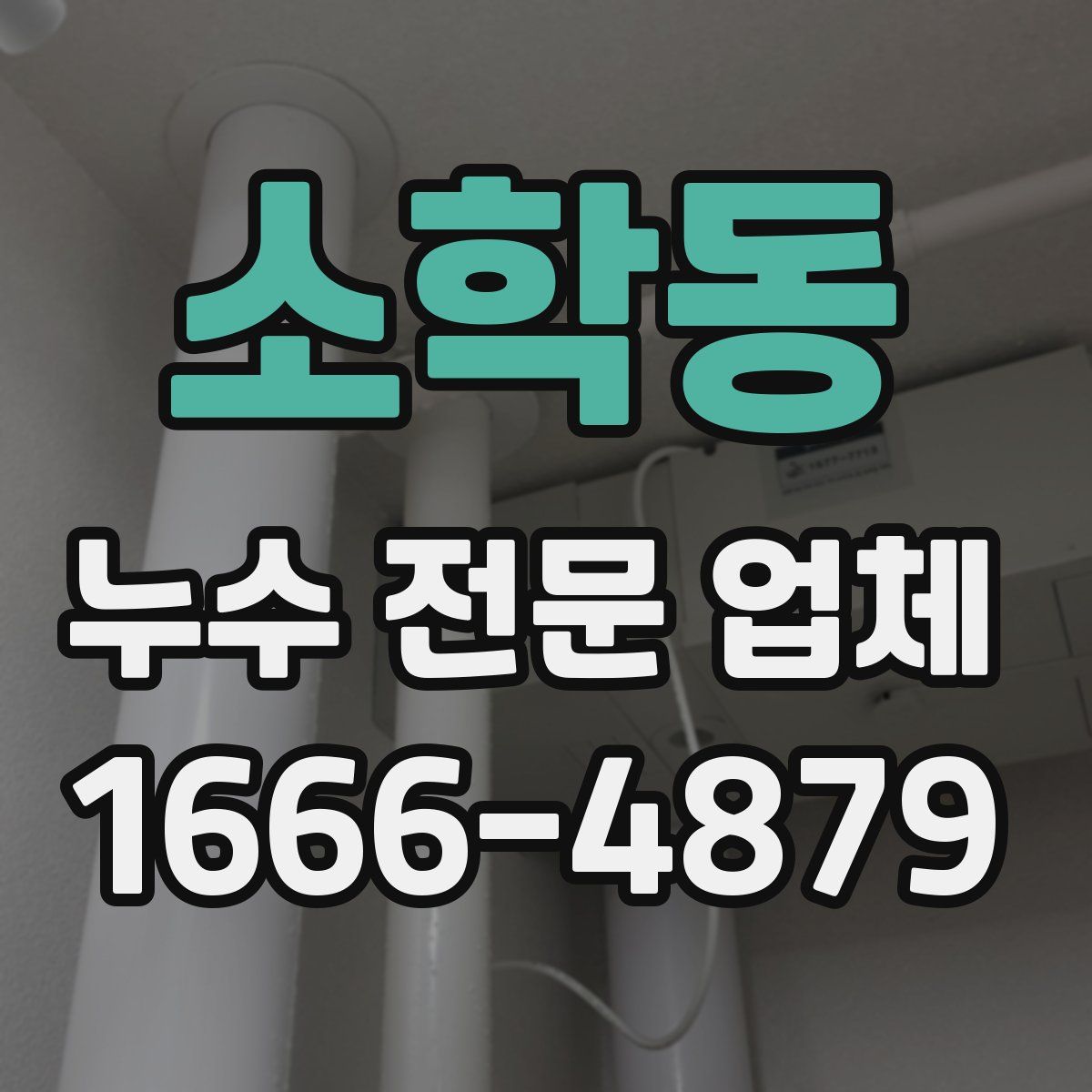 소학동 누수 전문 업체