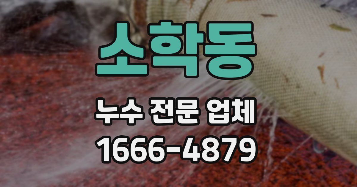 소학동 누수 전문 업체