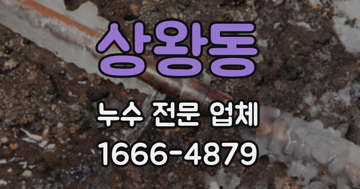 상왕동 누수 전문 업체
