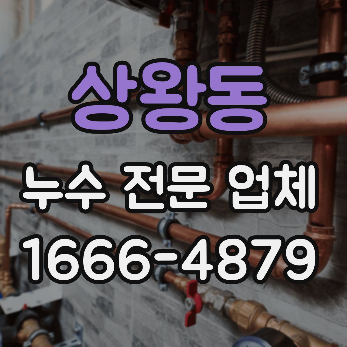 상왕동 누수 전문 업체
