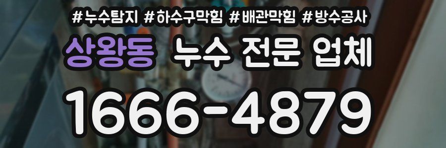 상왕동 누수 전문 업체