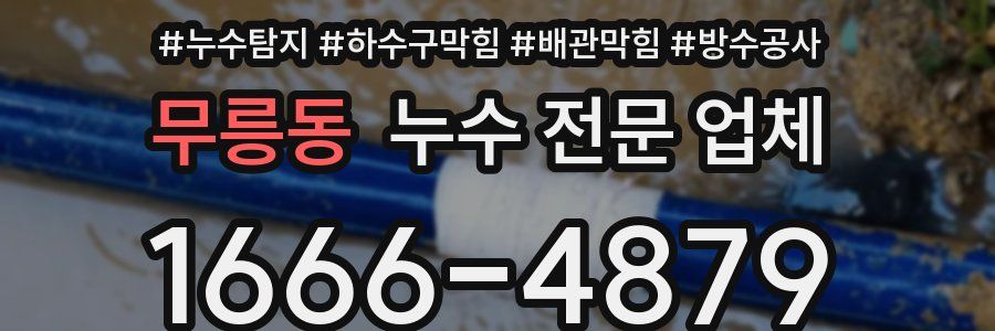 무릉동 누수 전문 업체