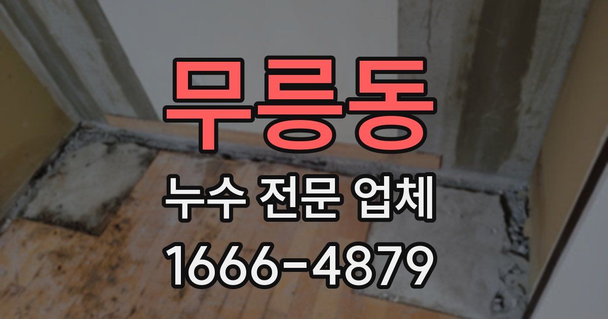 무릉동 누수 전문 업체