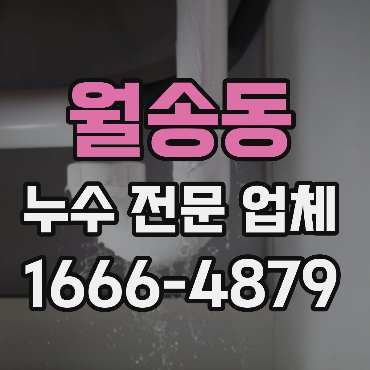 월송동 누수 전문 업체