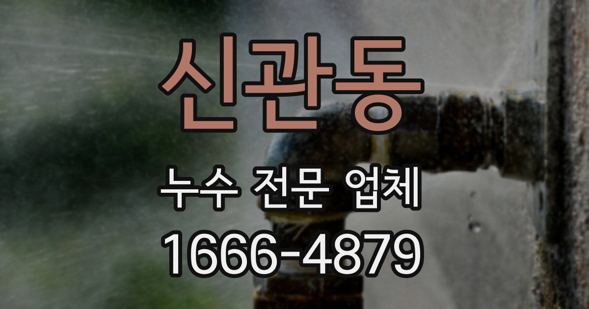 신관동 누수 전문 업체