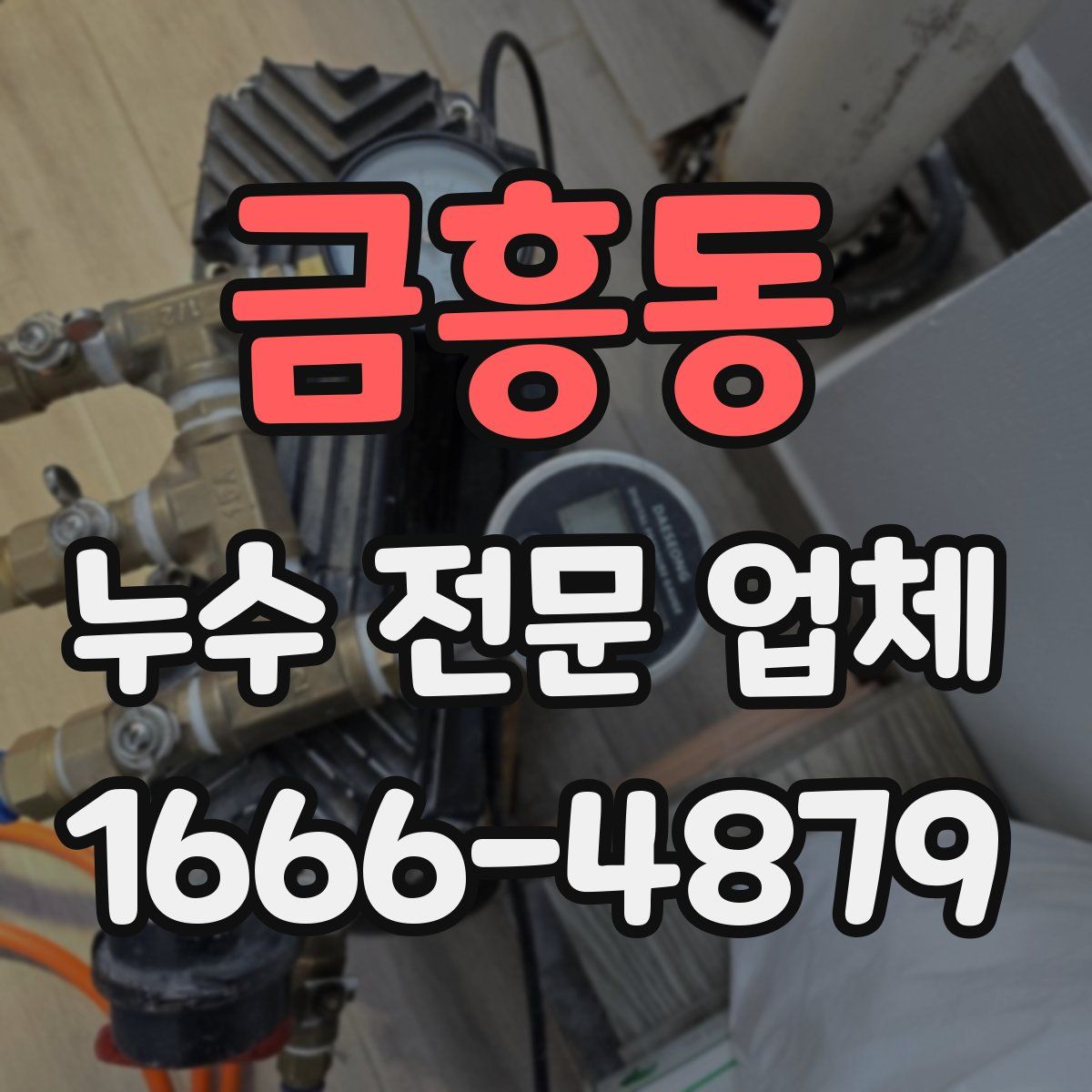 금흥동 누수 전문 업체