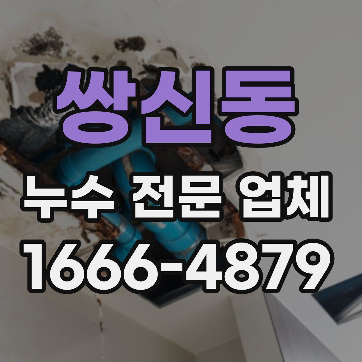 쌍신동 누수 전문 업체