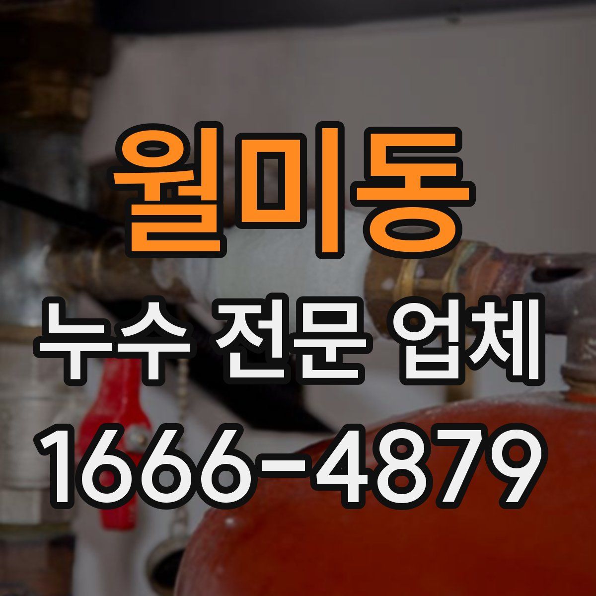 월미동 누수 전문 업체