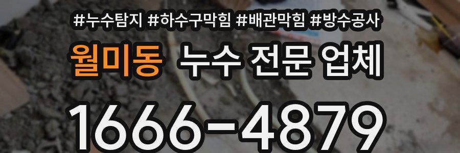 월미동 누수 전문 업체