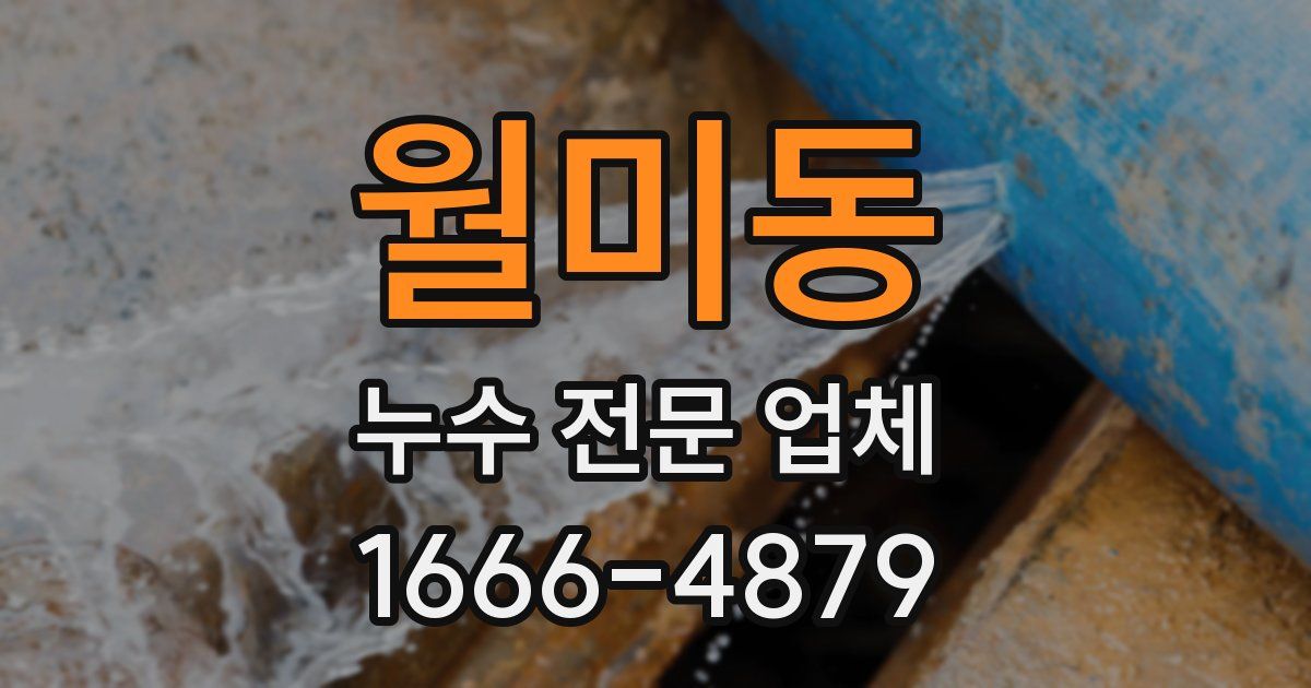 월미동 누수 전문 업체