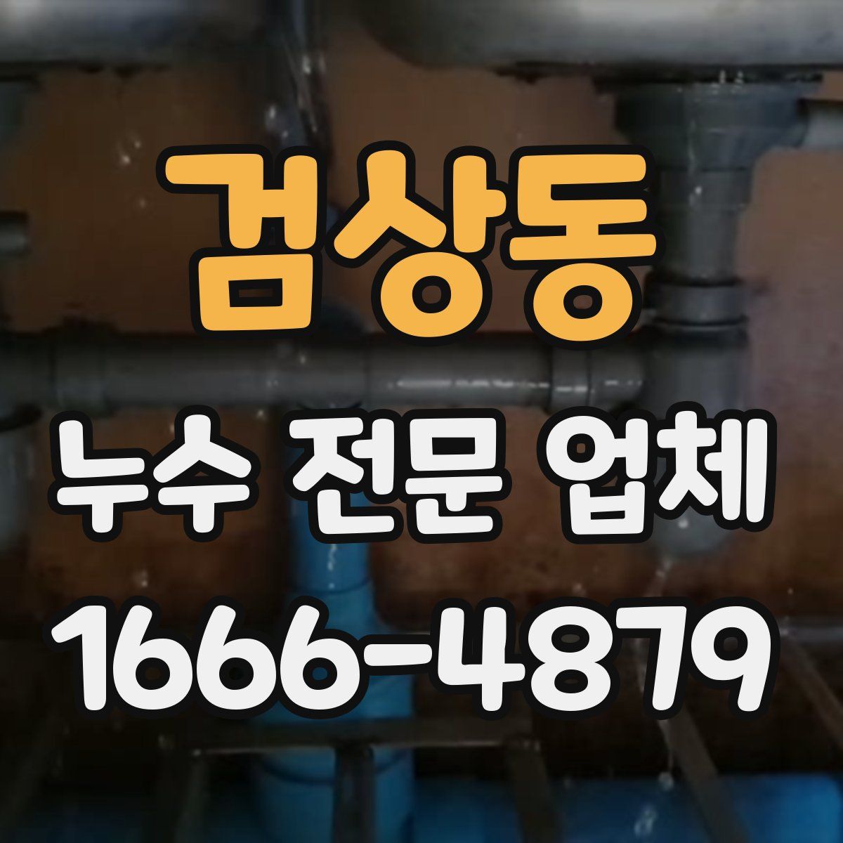검상동 누수 전문 업체