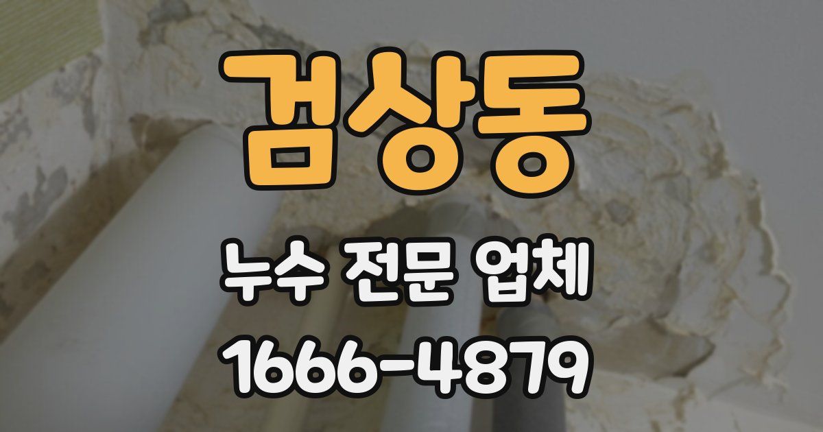 검상동 누수 전문 업체