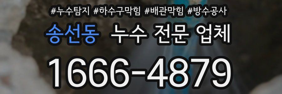송선동 누수 전문 업체