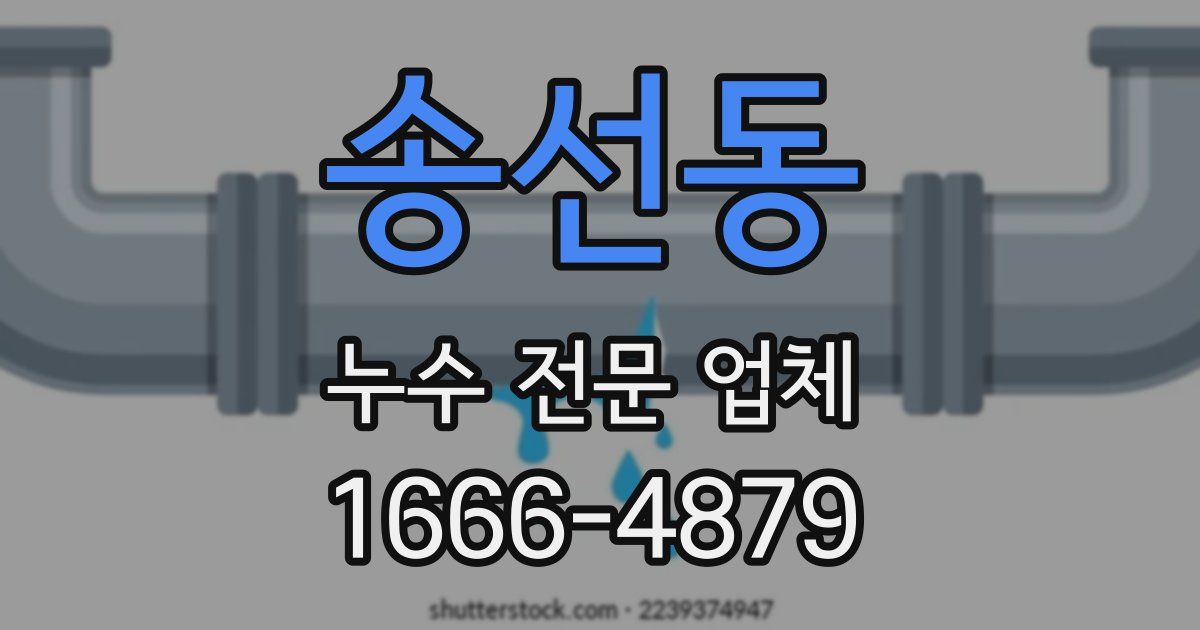 송선동 누수 전문 업체