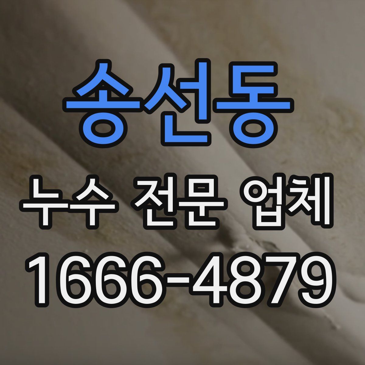 송선동 누수 전문 업체