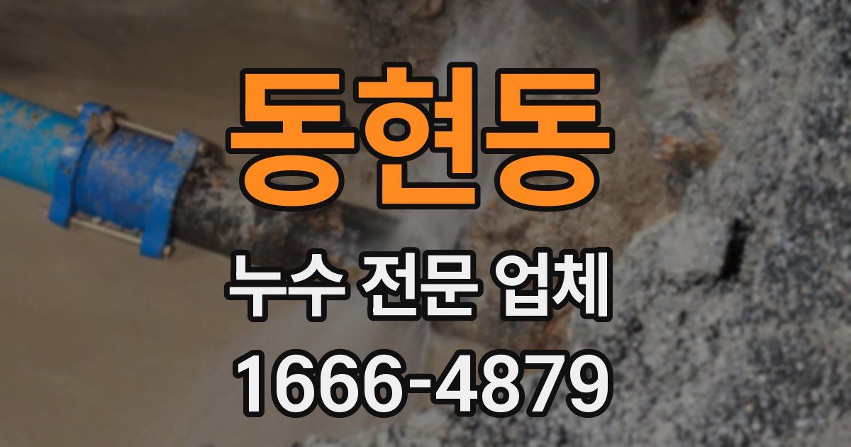 동현동 누수 전문 업체