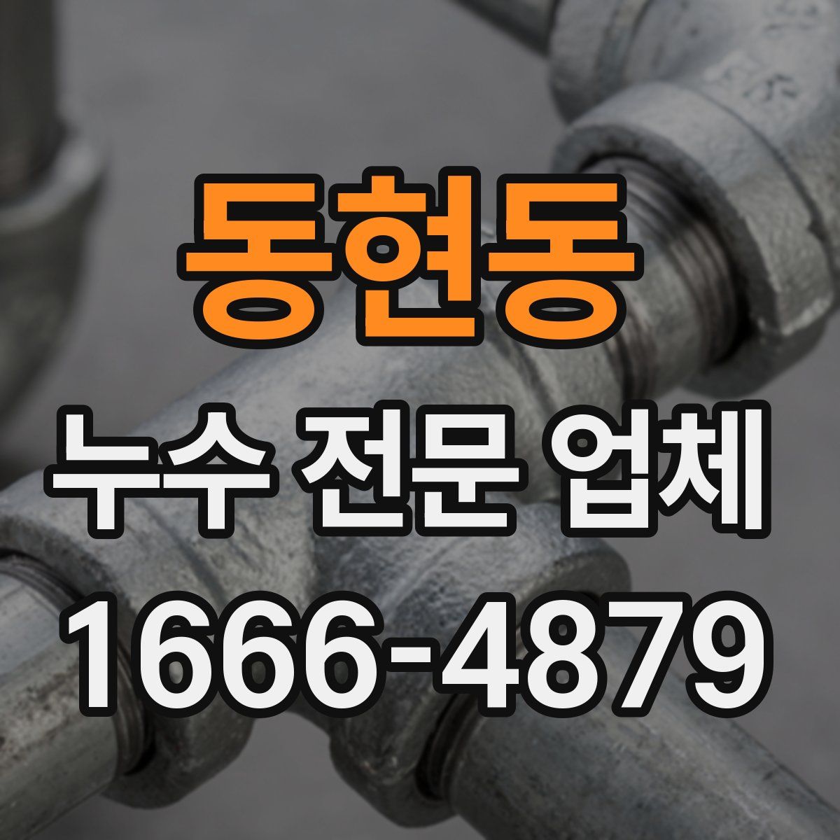 동현동 누수 전문 업체