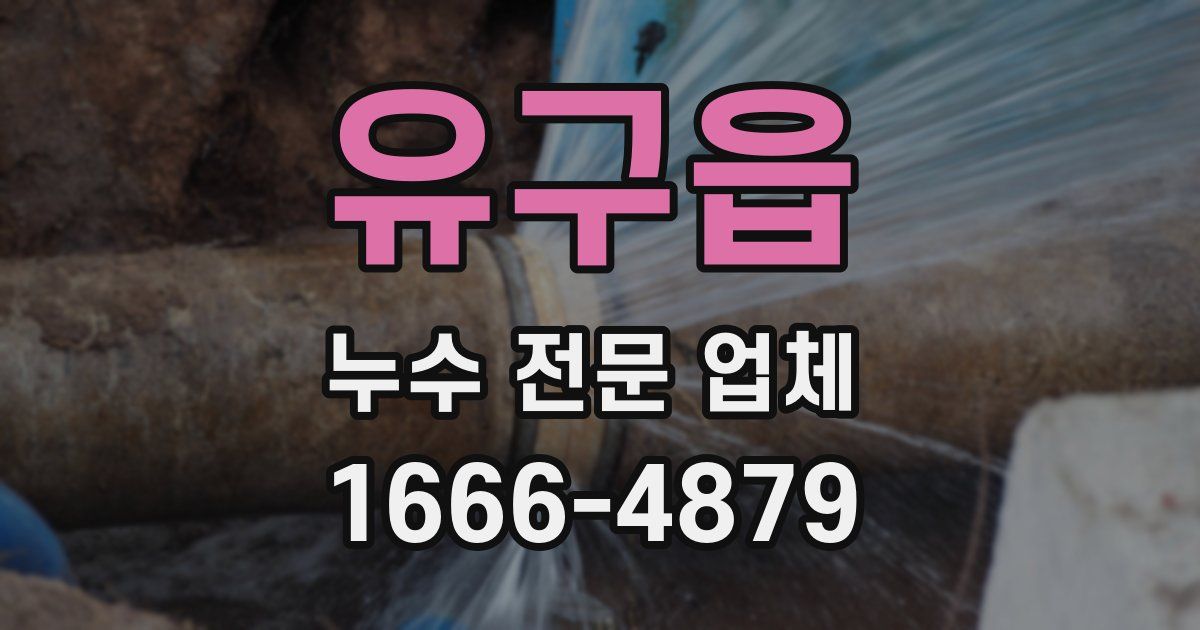 유구읍 누수 전문 업체
